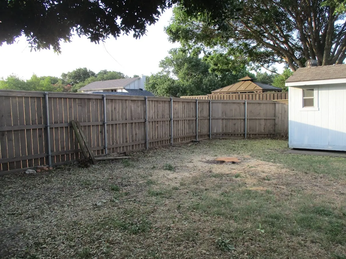 Cleared yard after professional tree removal in Dardanelle